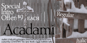 AcadamiIntroPoster